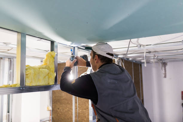 Best Insulation Contractor Near Me  in South Sumter, SC