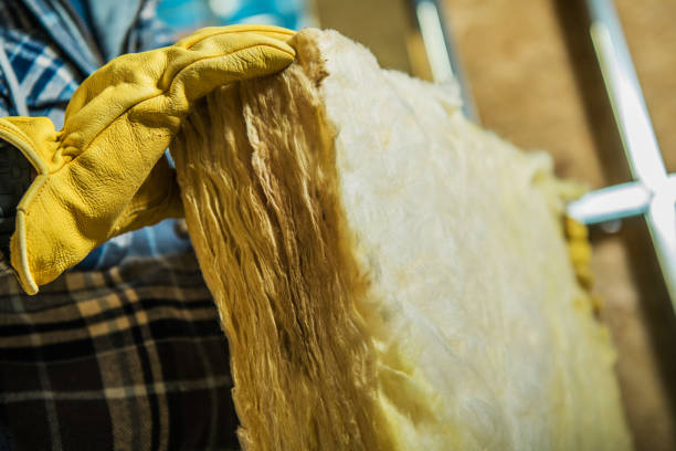 Best Residential Insulation Services  in South Sumter, SC