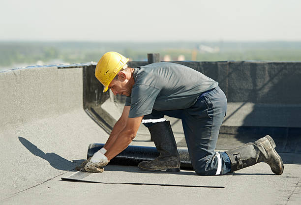 Best Insulation Contractors for Homes  in South Sumter, SC