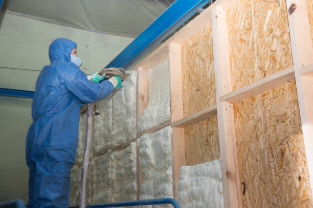 Best Garage Insulation Installation  in South Sumter, SC