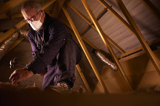 Best Spray Foam Insulation  in South Sumter, SC